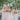 bridesmaids in blush pink dresses - photo by Dave Richards Photography https://ruffledblog.com/boho-calamigos-ranch-wedding