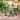 Botanical Greenhouse Weddingideas
