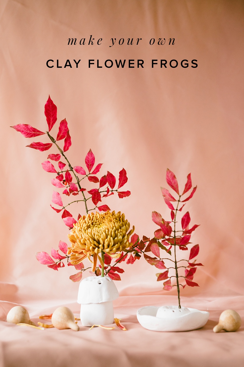 Diyclayflowerfrogs 001