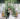 French Courtyard Microwedding Vancouver