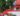 Let's All Go Awww at this Home for the Holidays Engagement Session https://ruffledblog.com/home-for-the-holidays-engagement #engagementsession #proposalideas #ChristmasProposal