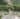 Luxury Indian Wedding Tuscany Il Borro