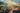 Magical Forest Wedding Planterra Conservatory