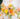 Marys Blooming House Ruffled Vendor