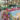 Poolside Welcome Dinner Modern Wedding