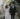 New York weddings - photo by Chellise Michael Photography https://ruffledblog.com/vintage-inspired-multicultural-wedding-in-palisades-ny