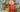 Vivid Summer Bouquets Bright Wedding Palettes