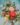 Vivid Summer Bouquets Bright Wedding Palettes