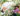 Wild Winding Florals Havana Color Palette