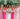 Wildflower Pink Wedding