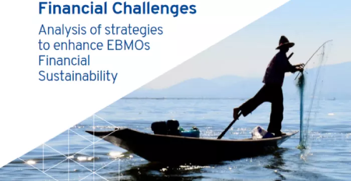 cover_ILO-ACTEMP-ITCILO-Navigating-EBMOs-Financial-Challenges-EN FINAL