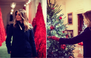 “Melania Trump’s Christmas Tree of Lights is a Disturbance of the Peace”!